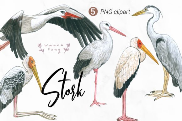 Stork Watercolor Animal Clipart: A Designer's Delight